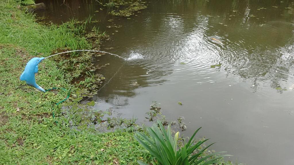 Sitio E Pousada Recanto Dos Ipes Teresópolis Εξωτερικό φωτογραφία