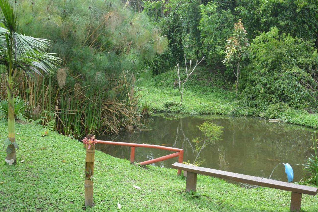 Sitio E Pousada Recanto Dos Ipes Teresópolis Εξωτερικό φωτογραφία